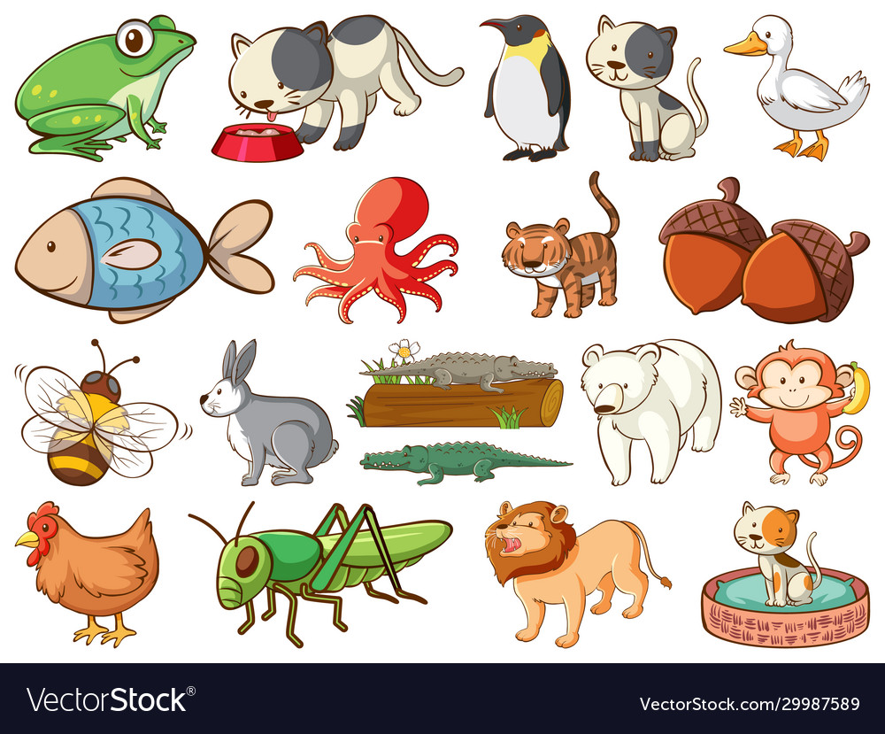 Large set wildlife with many types animals Vector Image