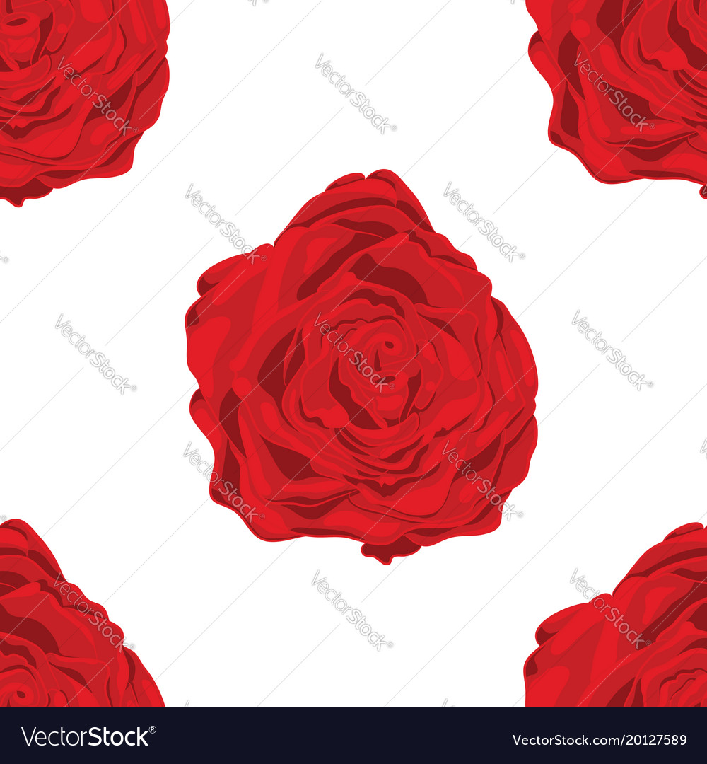 Pattern of red roses in white background