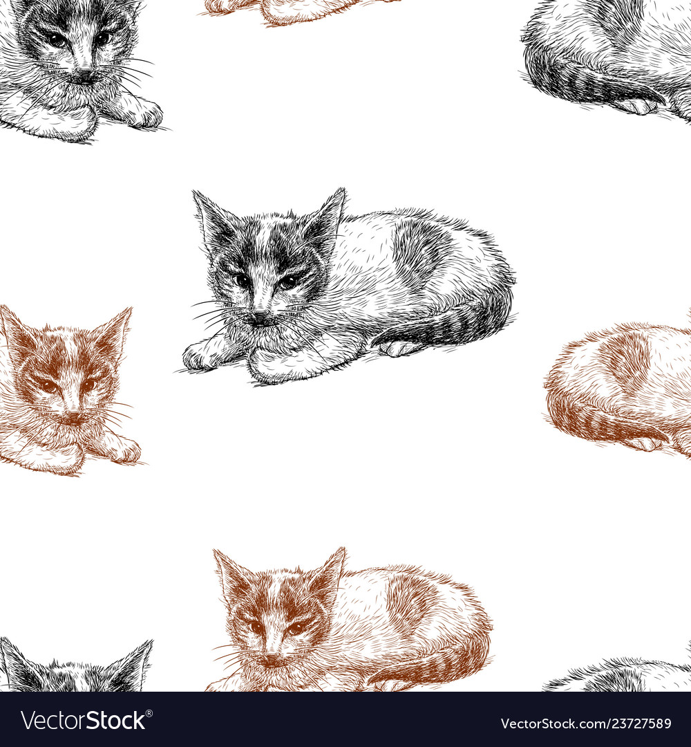 Pattern of sketches kittens