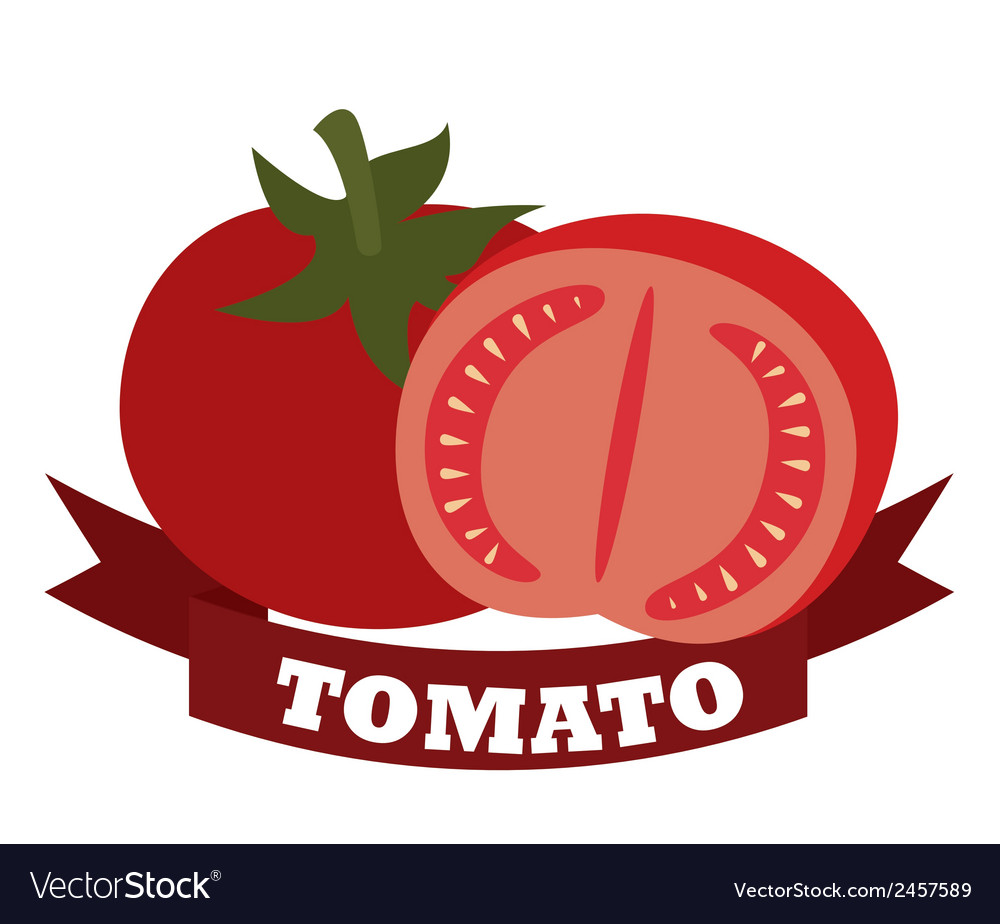 Tomato design over white background