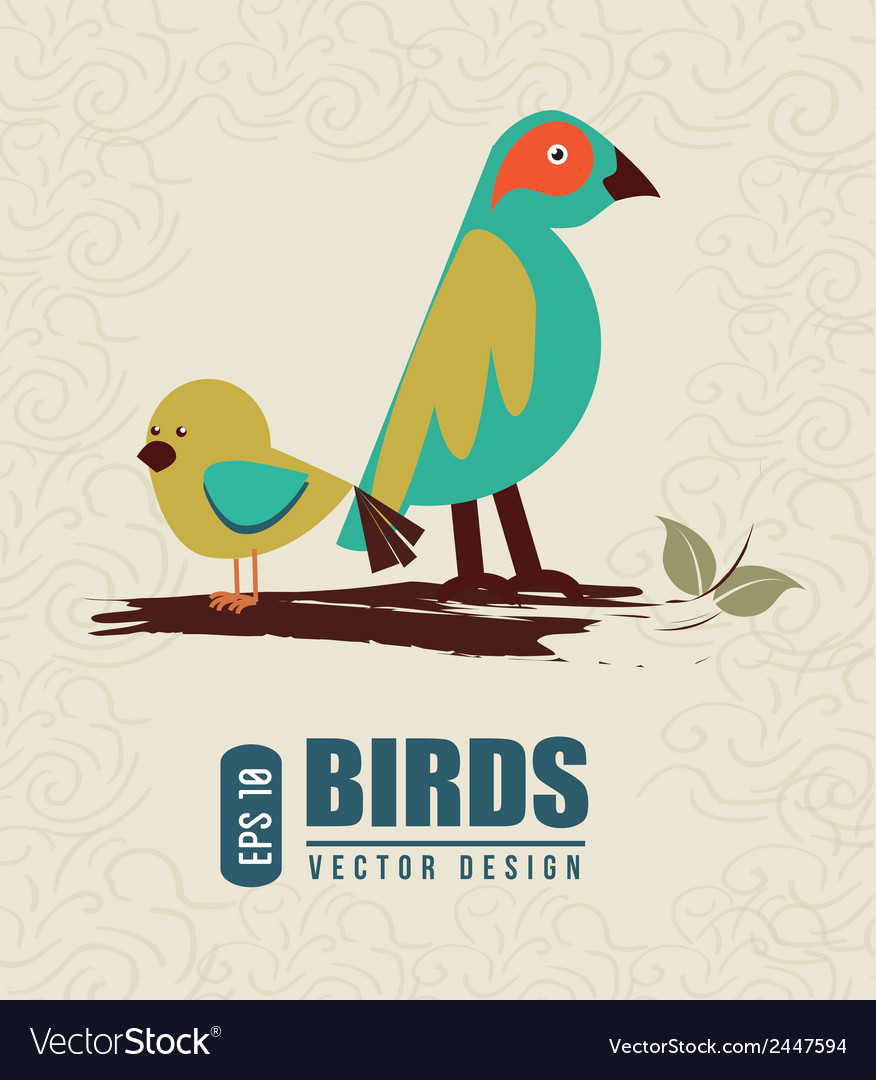 Birds design over white background