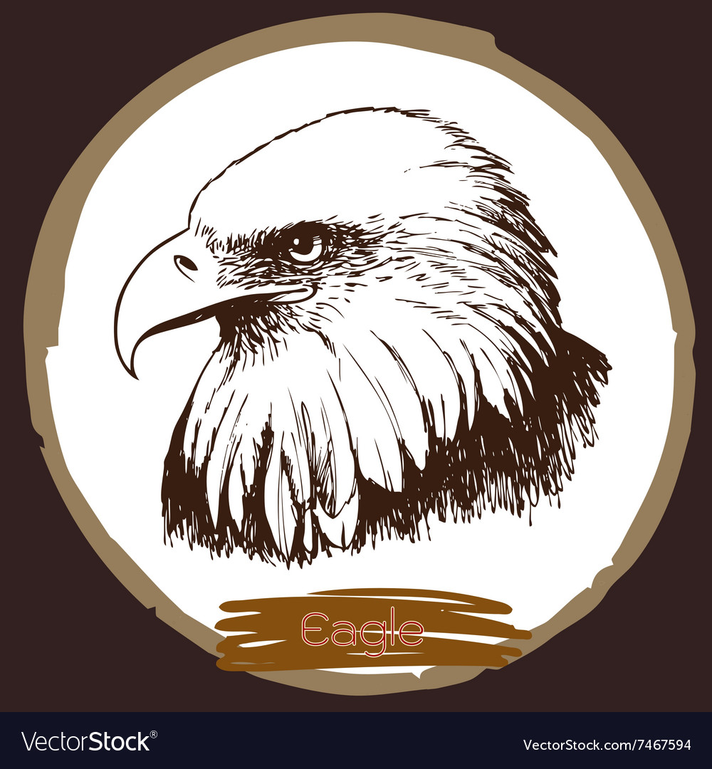 Eagle 3