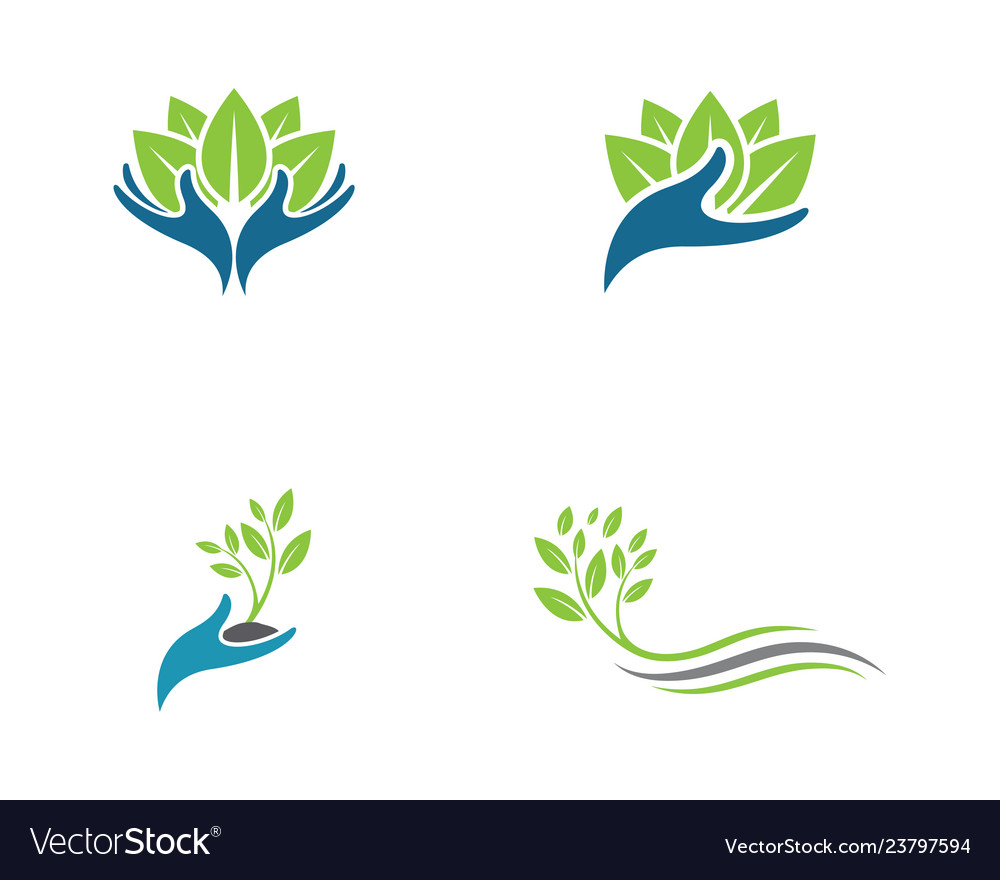Grüner Baum Blatt Ökologie Naturelement Vector Image Grüner Baum Blatt Ökologie Naturelement