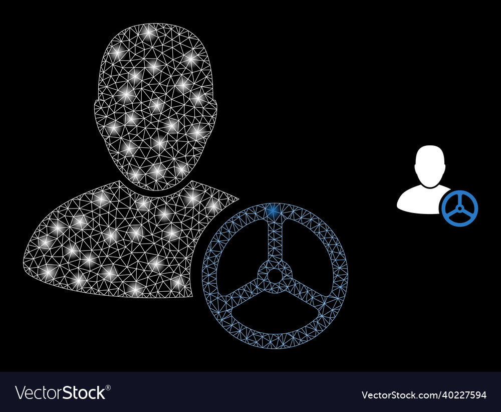 Mesh net driver man with bright