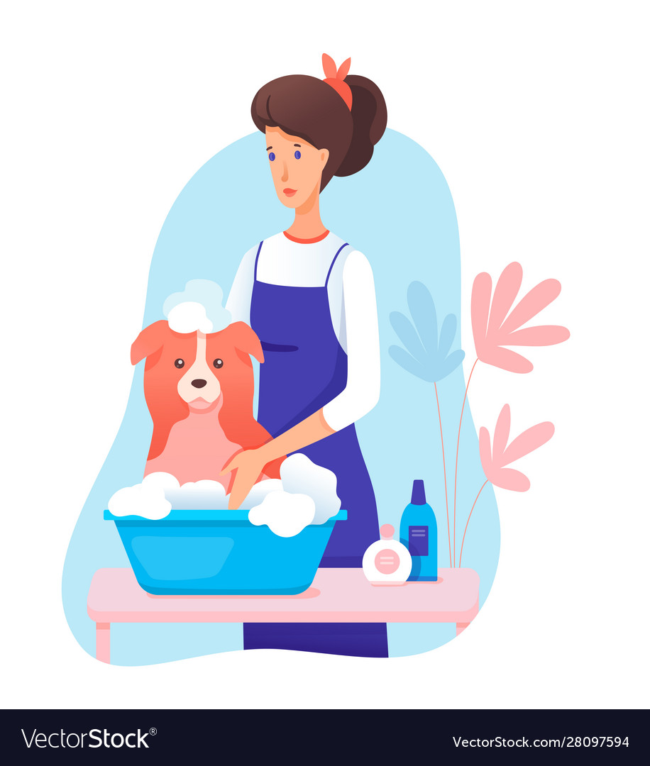 Woman pet groomer in apron washing dog cartoon