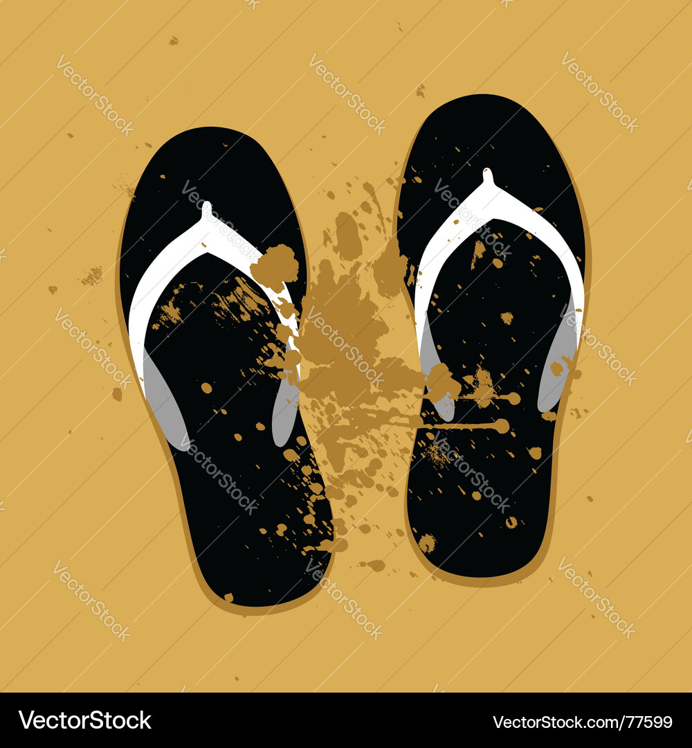Beach sandals Royalty Free Vector Image - VectorStock