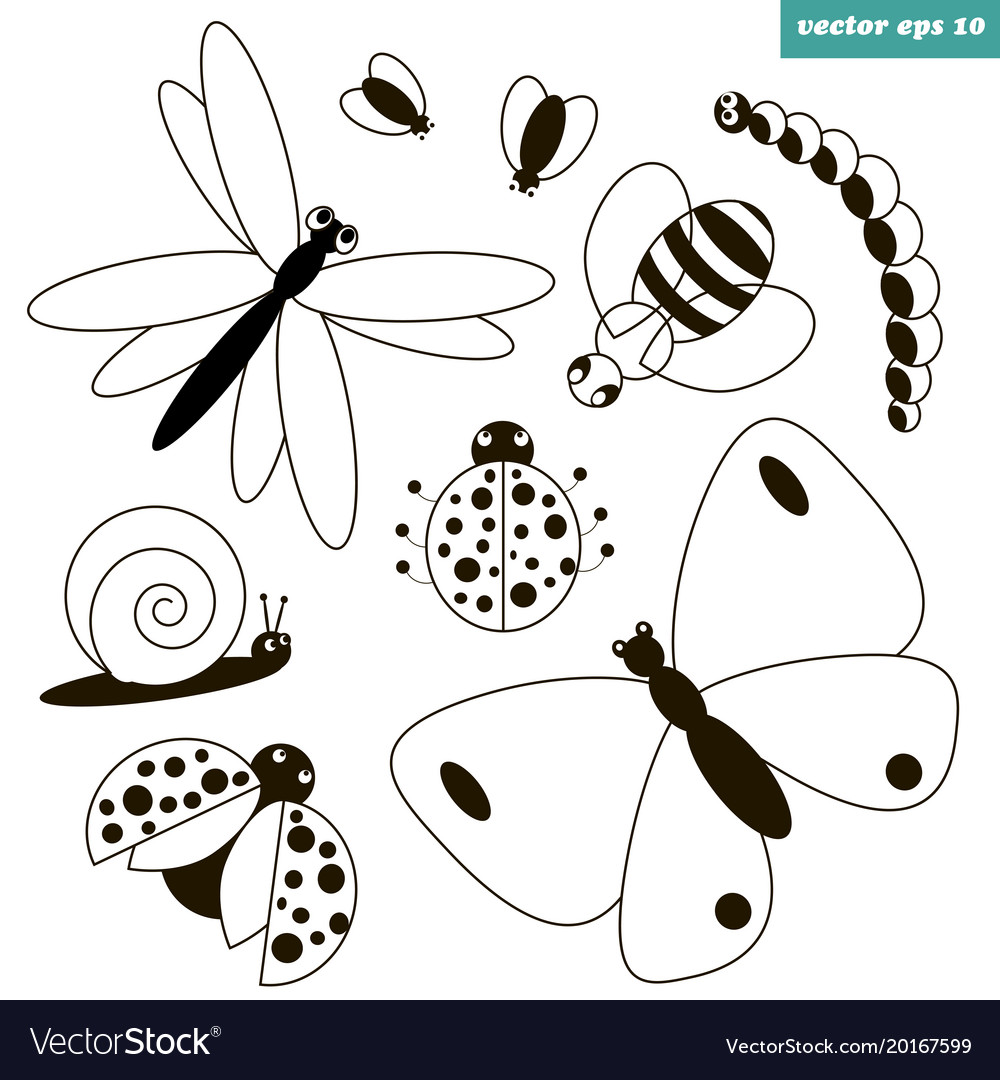 Insect Set