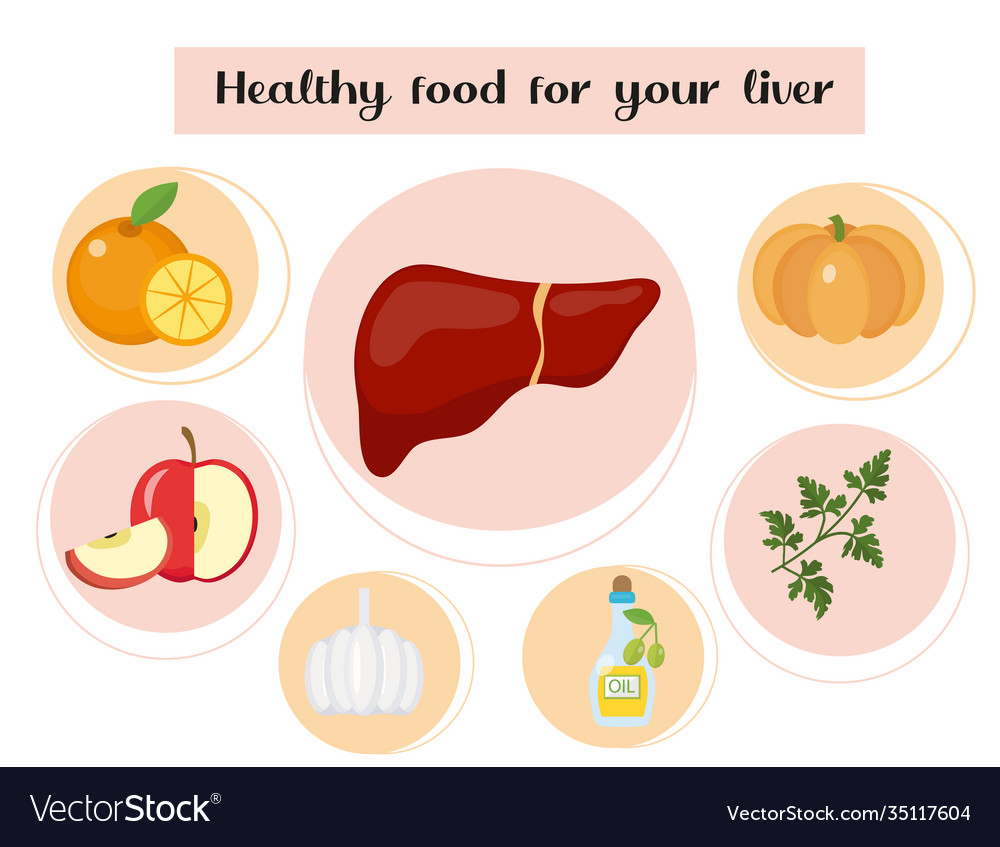 Healthy food for your liver concept Royalty Free Vector