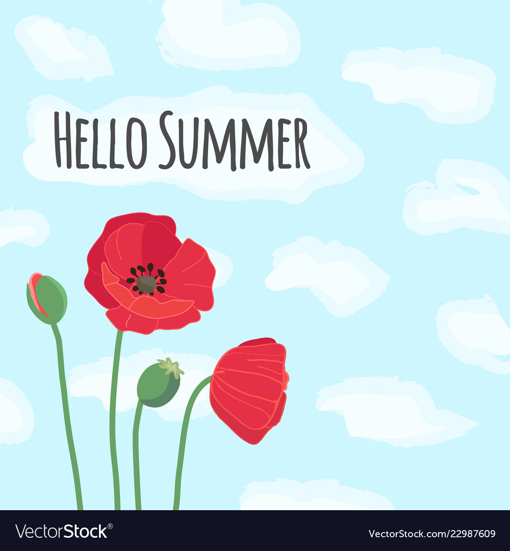 Hello summer text with cute colorful red field Vector Image Hello summer text with cute colorful red field