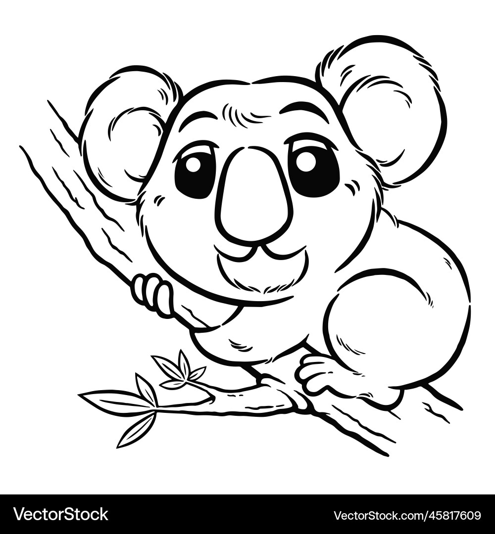 Koala bear Royalty Free Vector Image - VectorStock