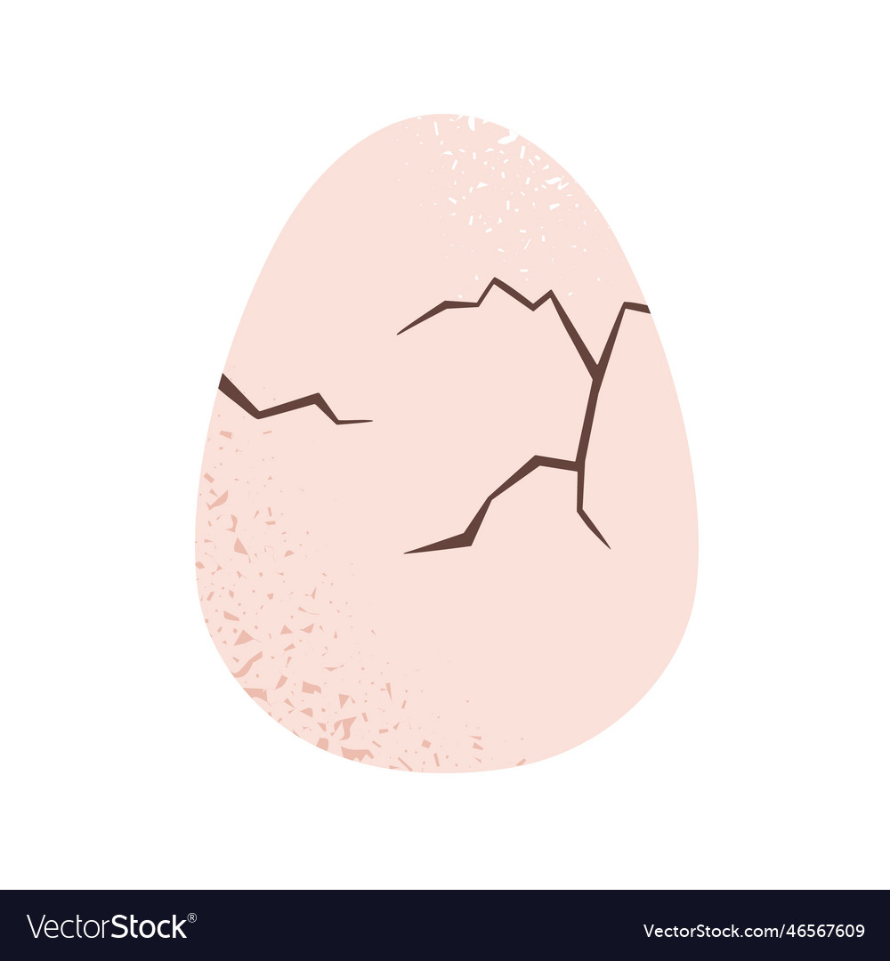Whole chicken egg with cracking breaking shell Vector Image