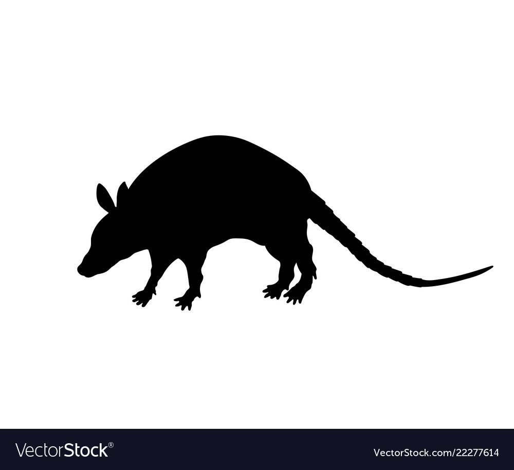 Download Black silhouette of armadillo isolated image Vector Image