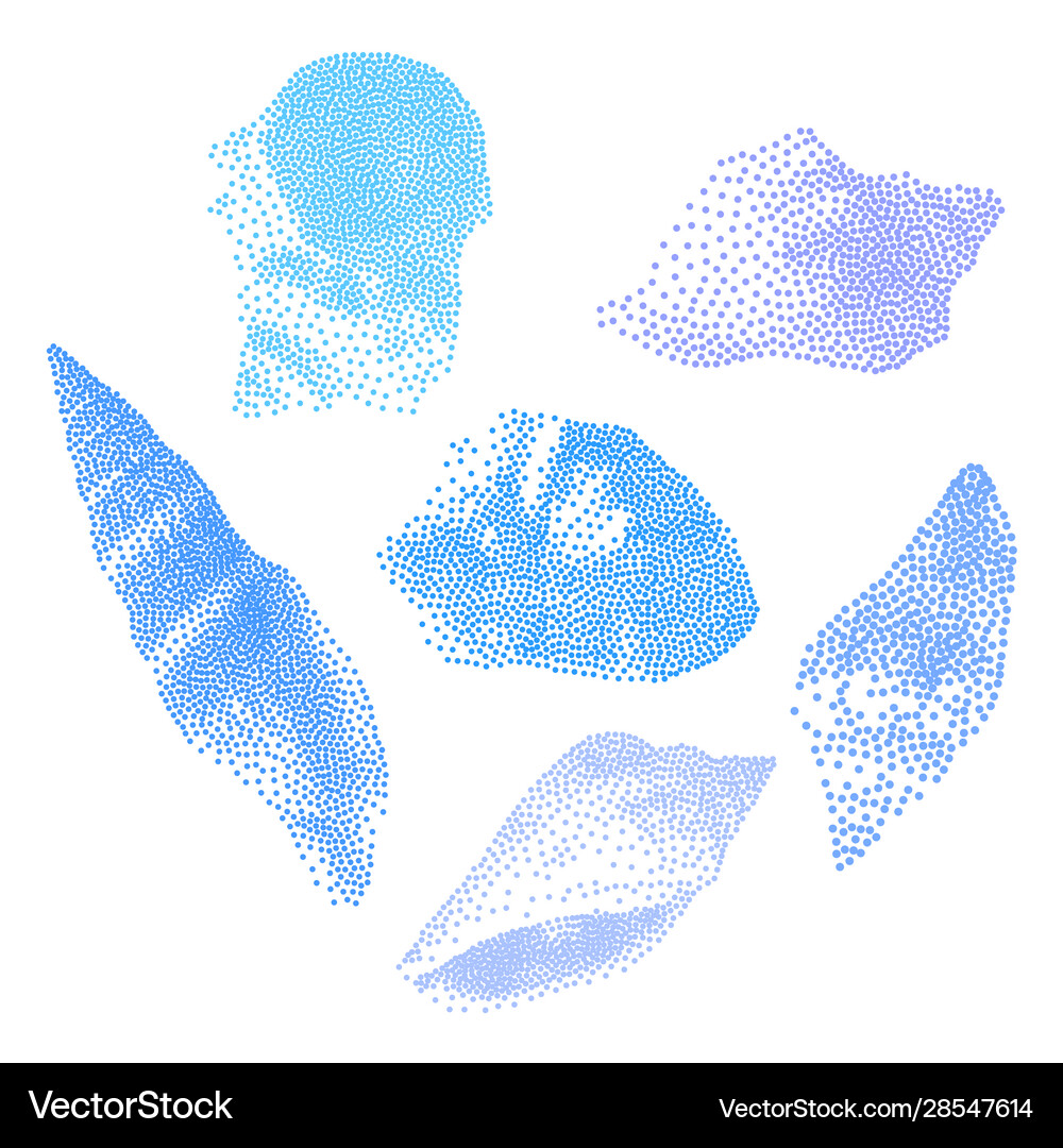 Set seashells on white background seashells Vector Image