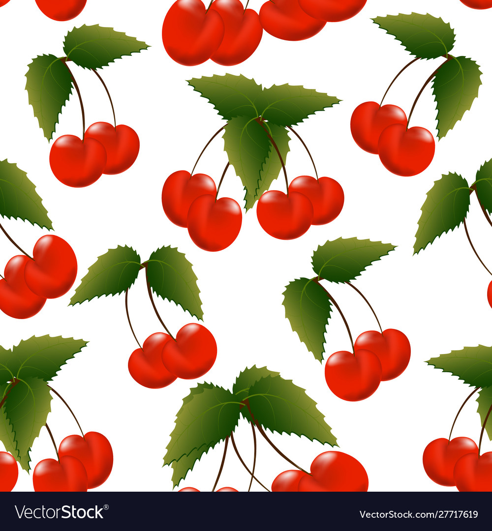 Many cherries in a color pattern Vector Image Many cherries in a color pattern