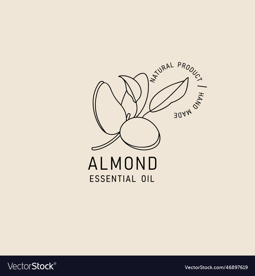 Packaging design element and icon in linear style vector image Packaging design element and icon in linear style