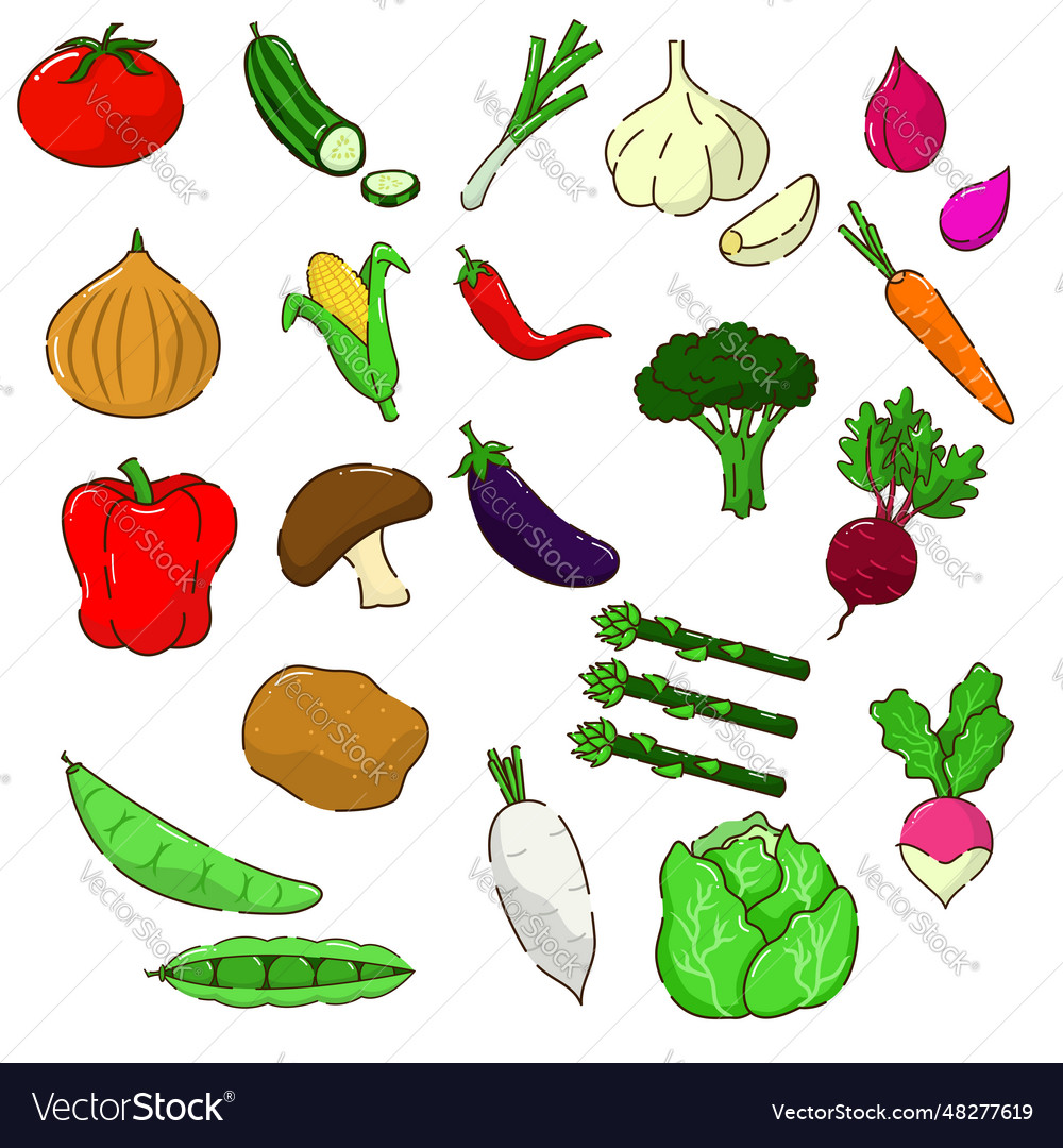 Vegetable