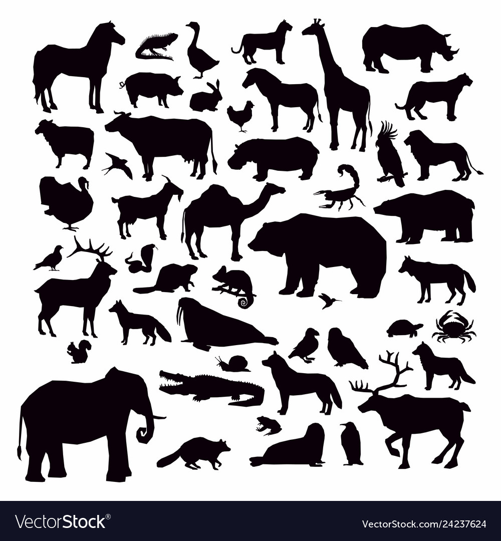 Collection animal silhouette Vector Image Collection animal silhouette