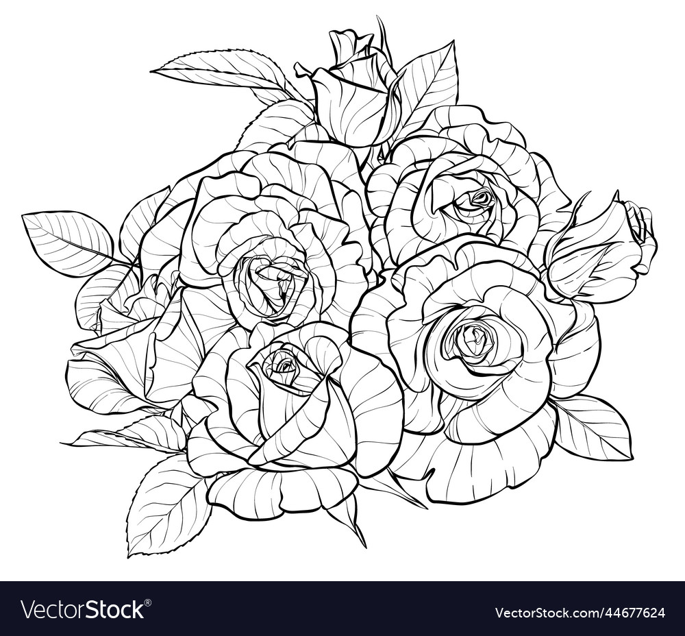 Flower composition a bouquet large rosebuds Vector Image