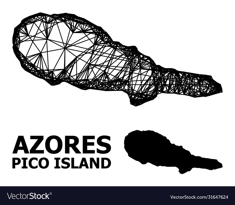 Wire frame map pico island vector image Wire frame map pico island