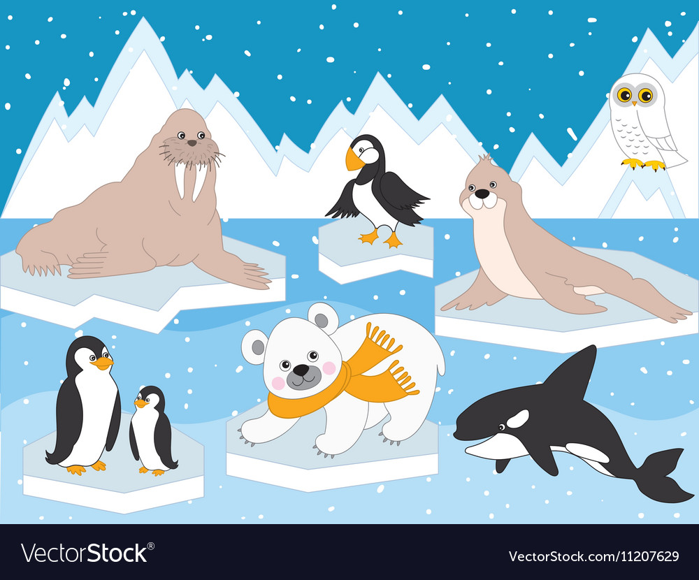 Arctic set Royalty Free Vector Image - VectorStock