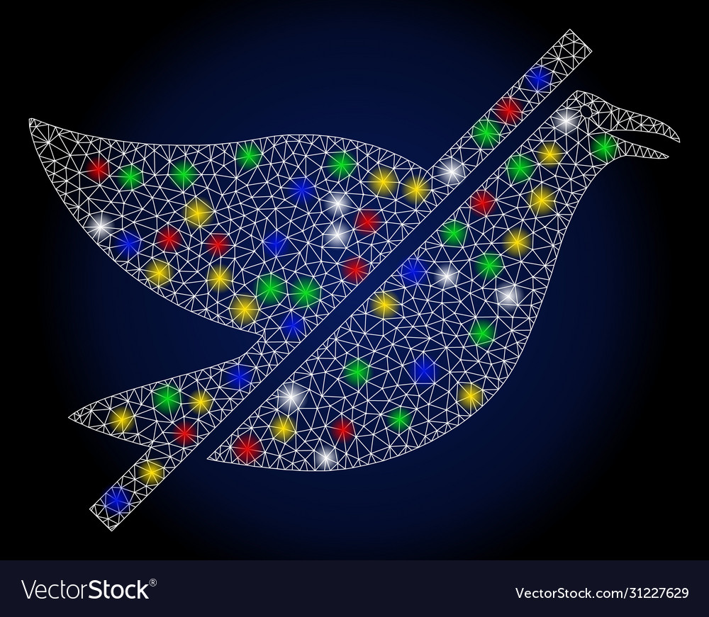 Flare mesh network no bird with color spots vector image Flare mesh network no bird with color spots