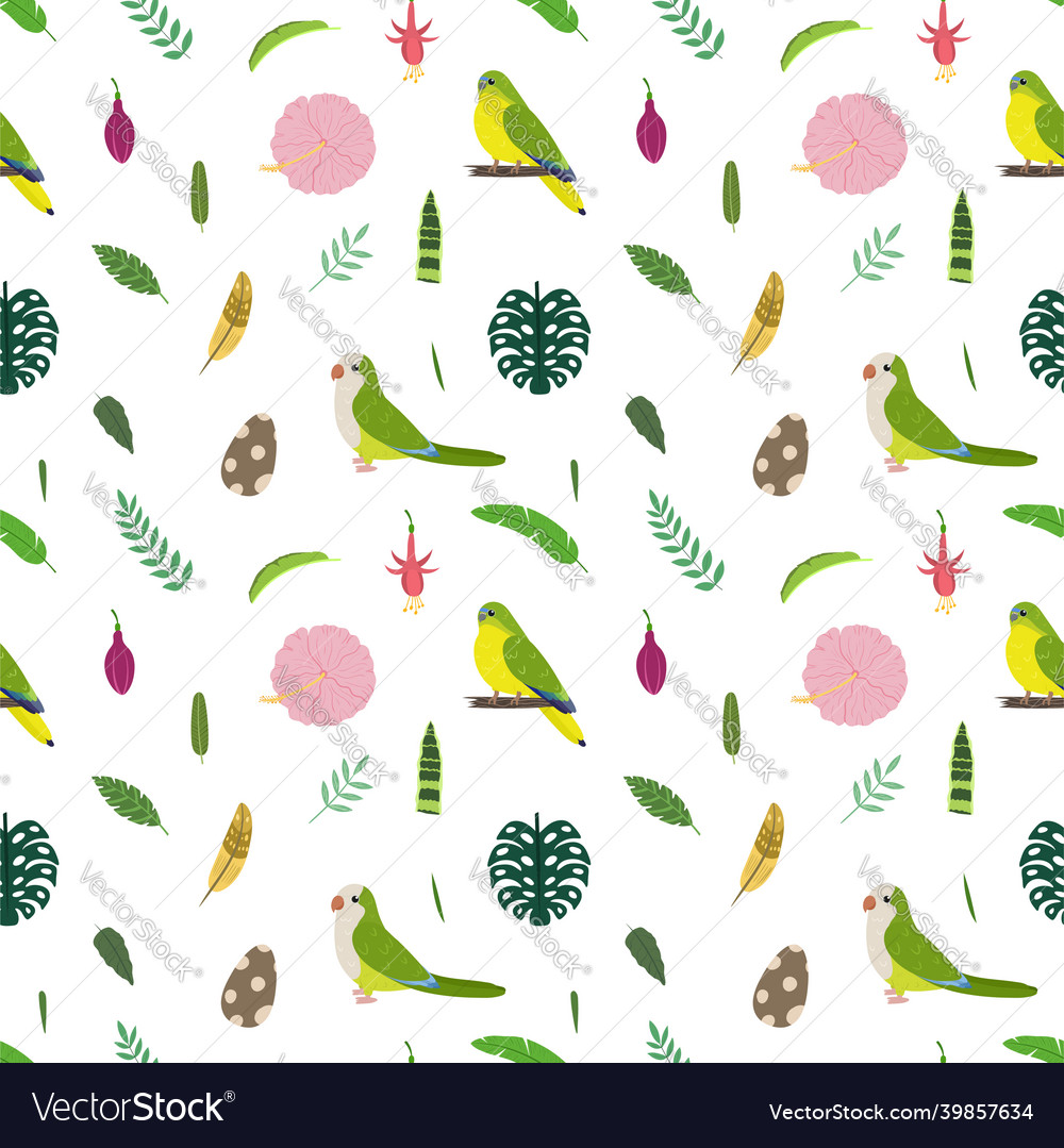 Seamless pattern with monk parakeet and grass Vector Image Seamless pattern with monk parakeet and grass