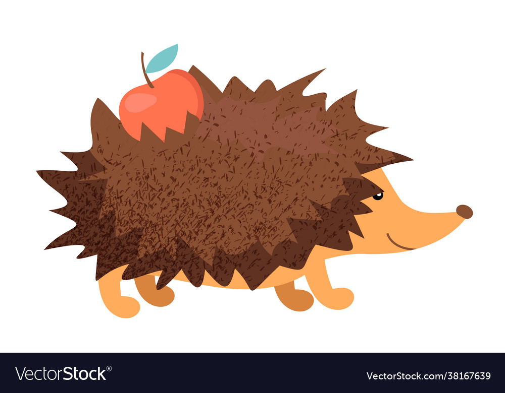 Hedgehog