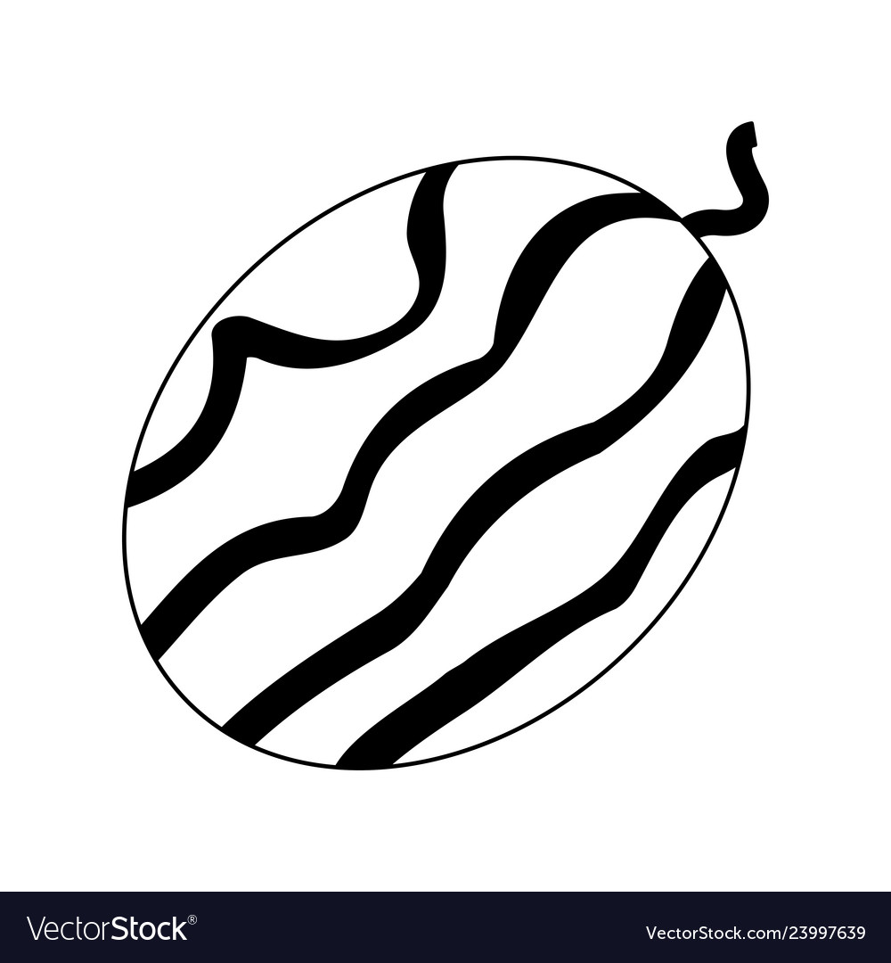 watermelon clip art black and white