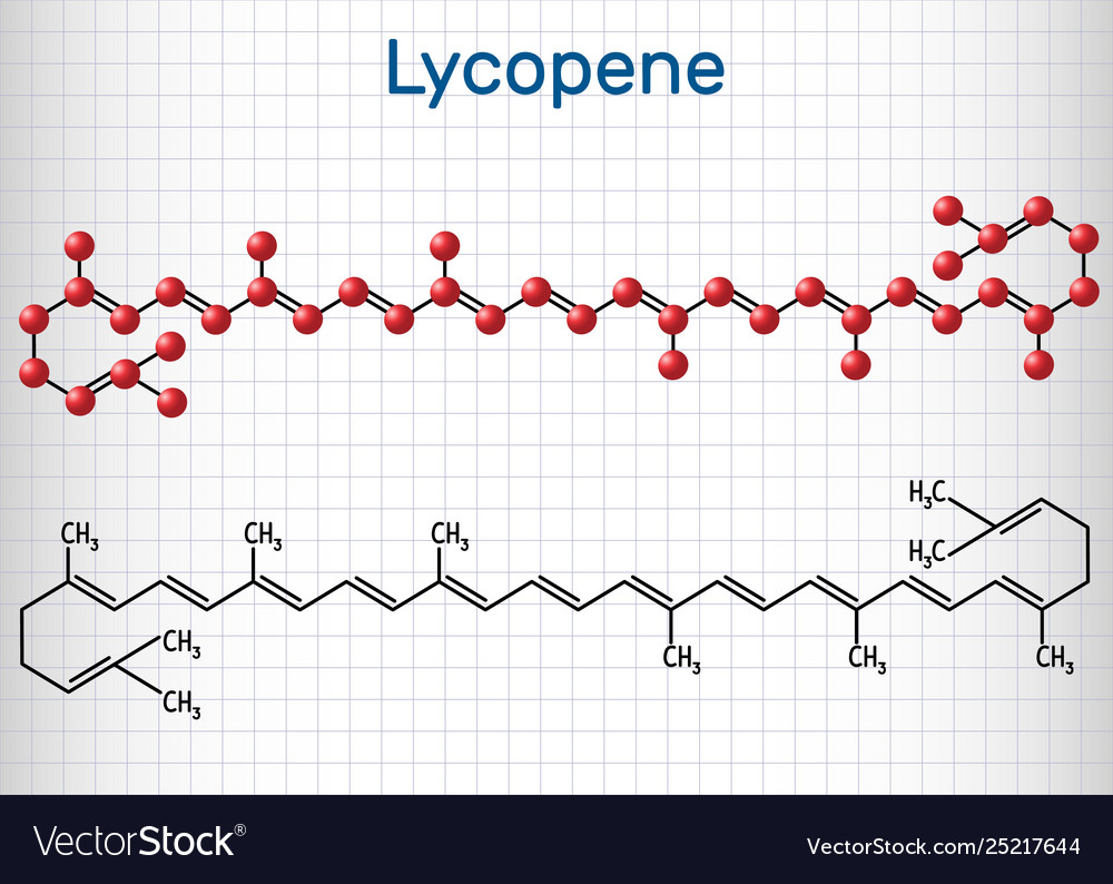 Lycopene molecule structural chemical formula