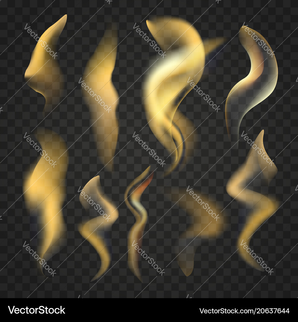 Set of transparent realistic fire flames Vector Image