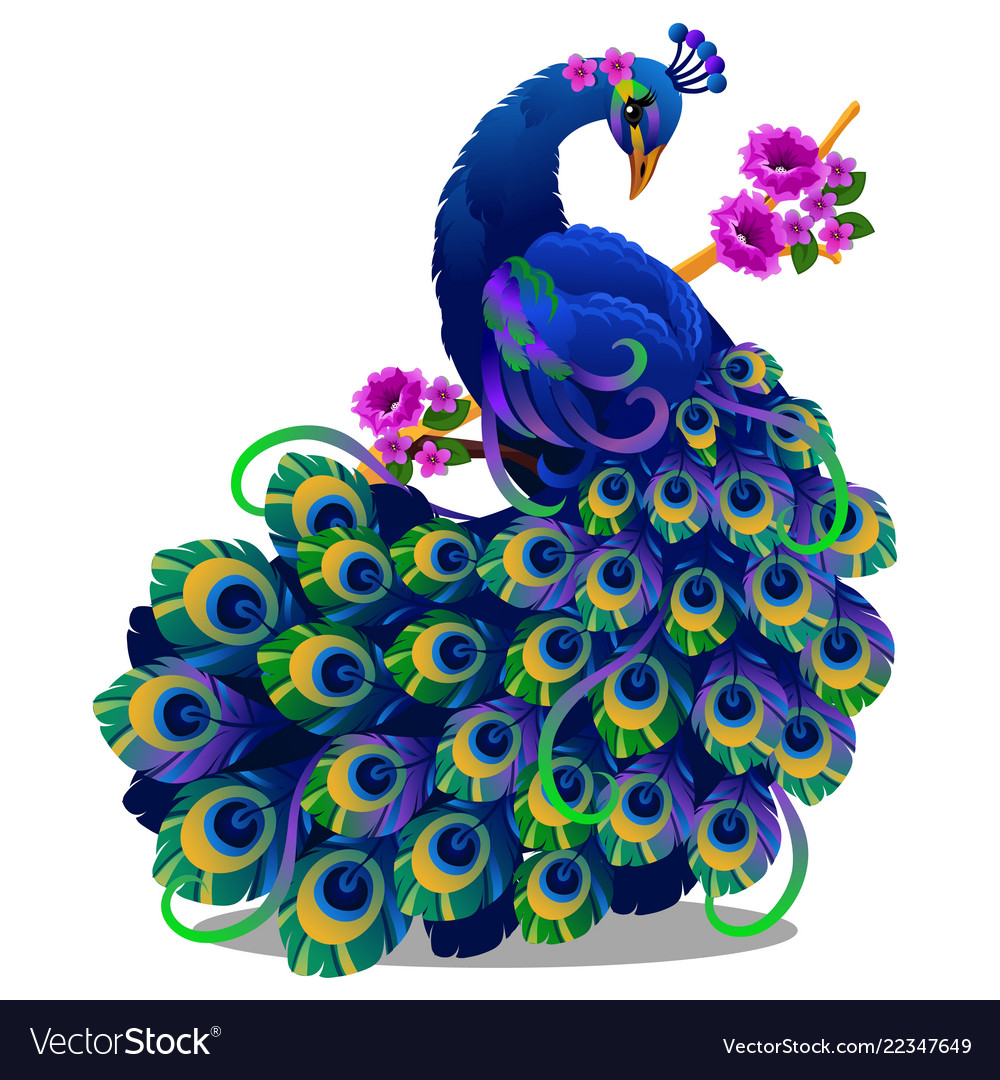 Beautiful bird peacock sitting on a perch Vector Image