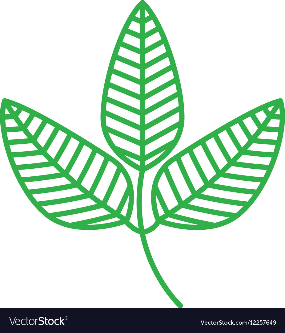 Leaf drawing isolated icon