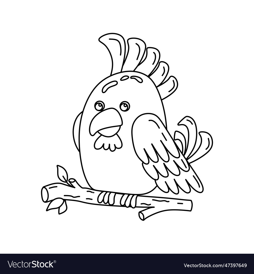 Parrot character black and white coloring book