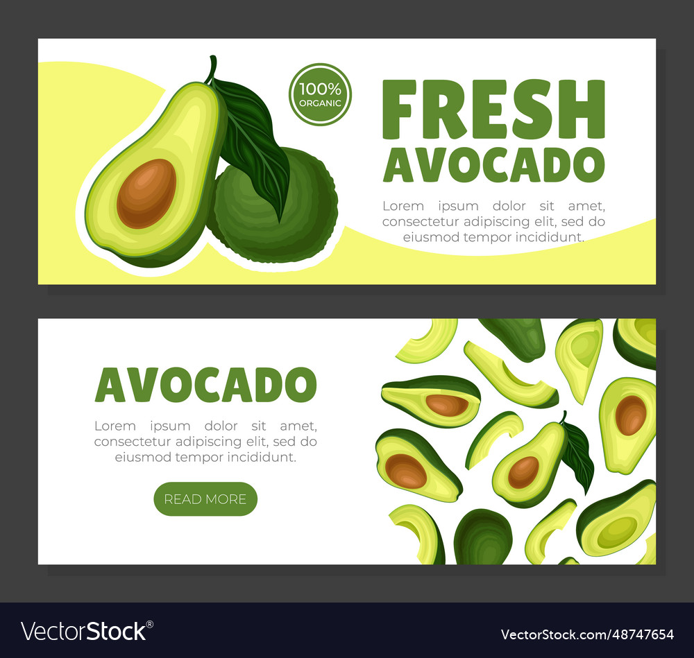 Avocado banner and poster design with green fruit