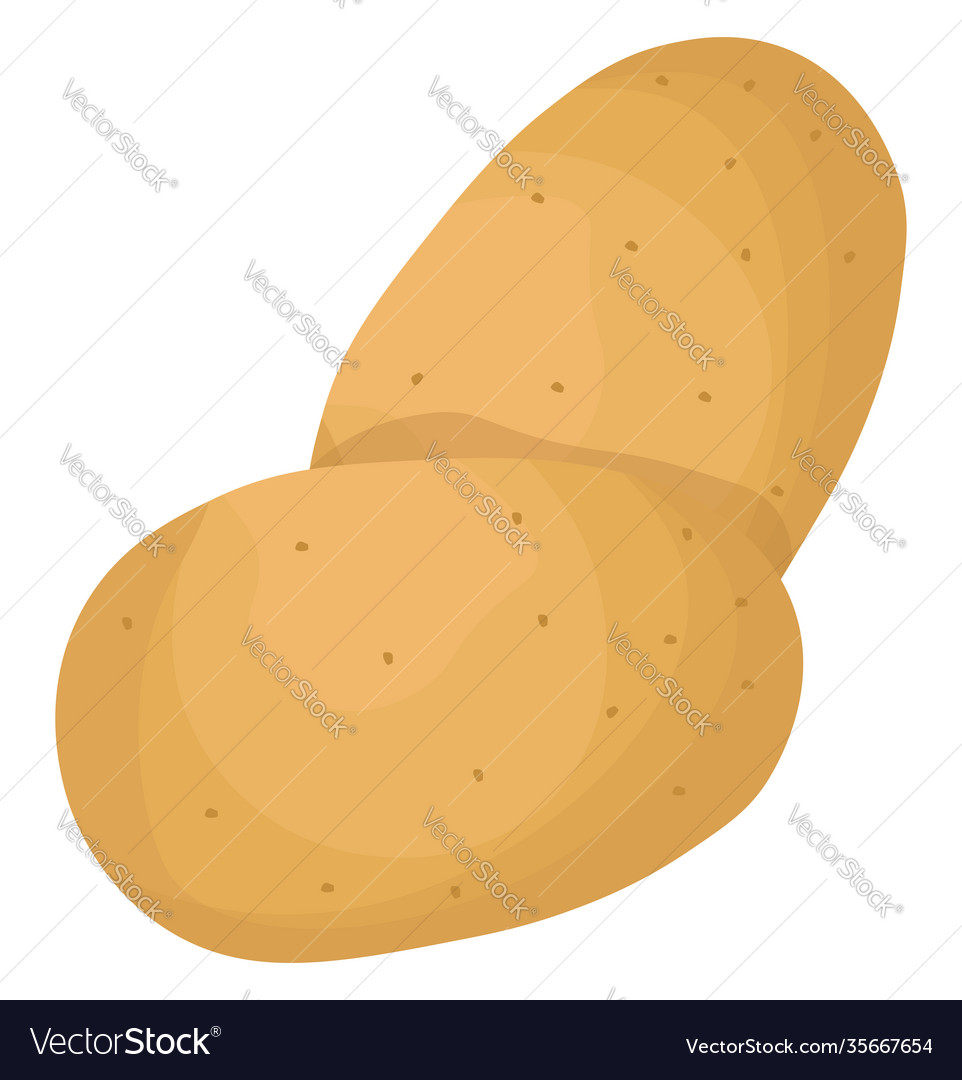 Two potato on white background