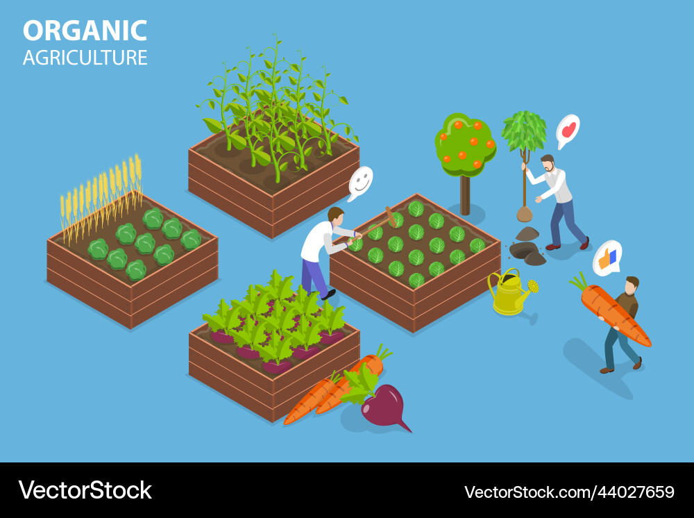 3d isometric flat conceptual Royalty Free Vector Image
