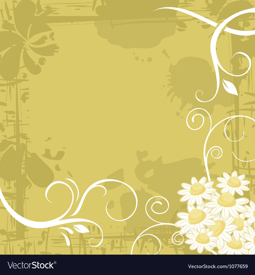 Chamomile background