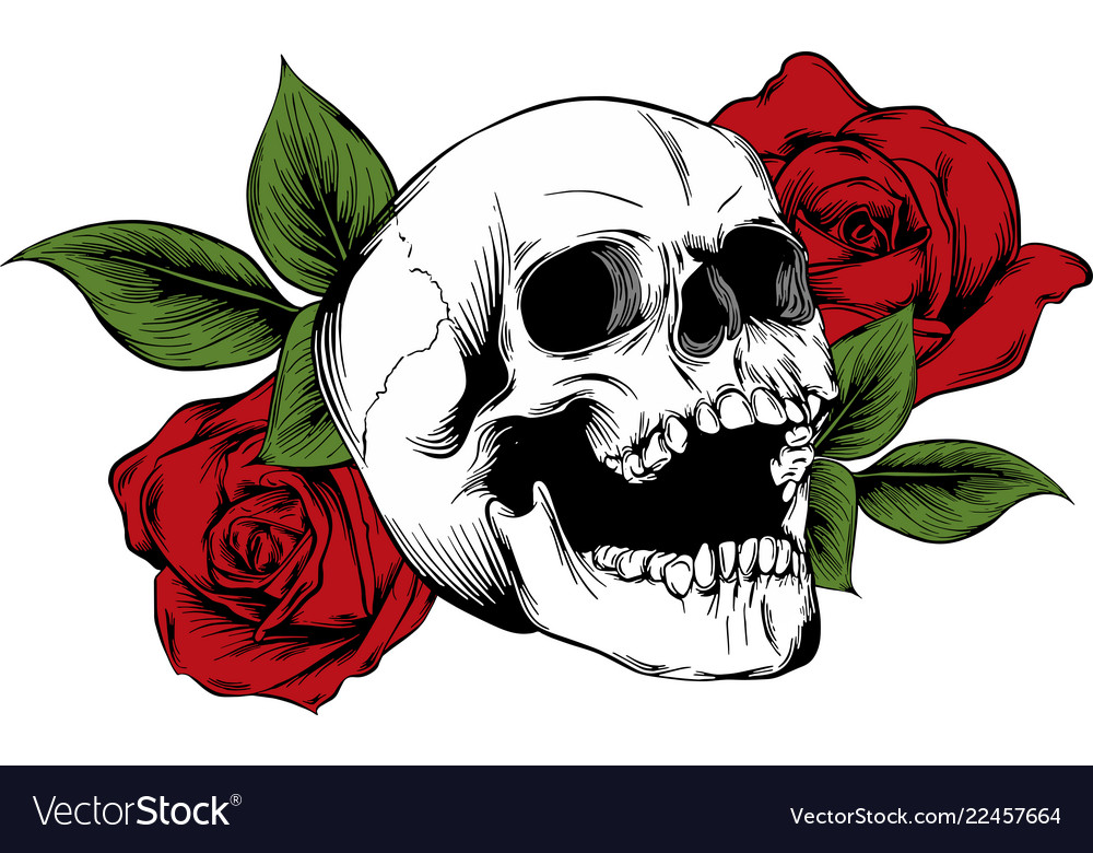 Cool Drawings Of Skulls And Roses