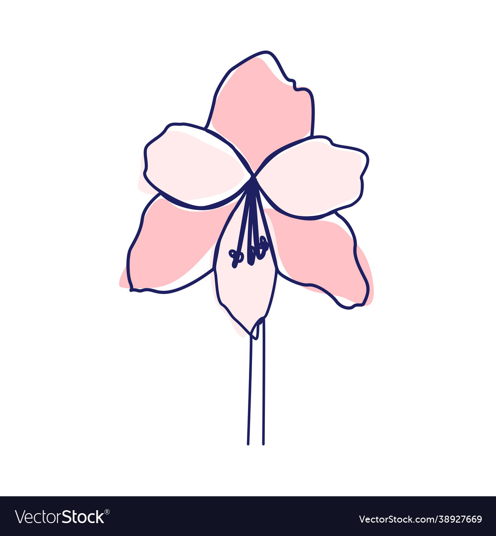 Continuous Line Drawing Beautiful Flowers Vector Image