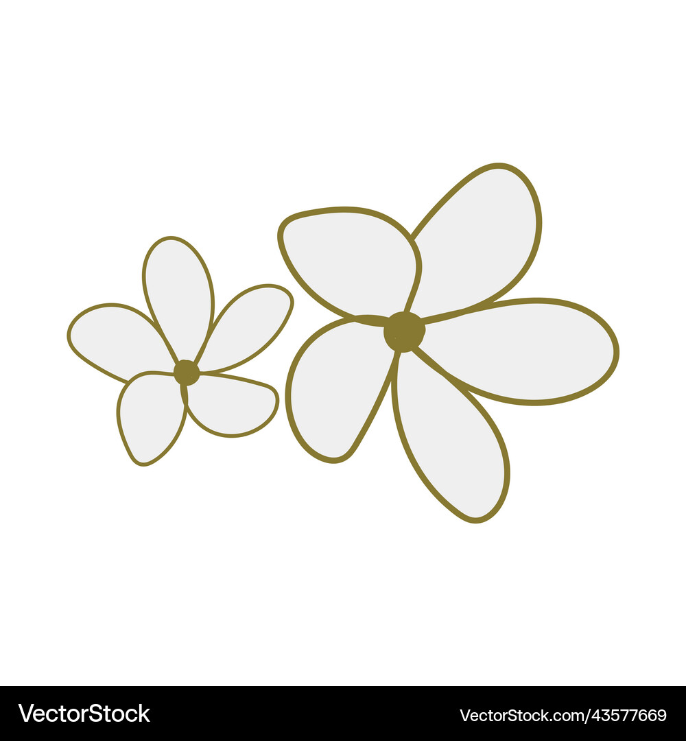 Flower elements design Royalty Free Vector Image