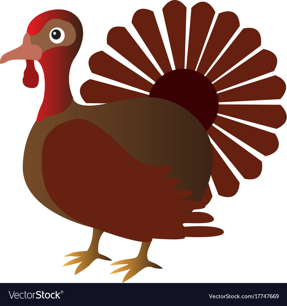 Isolated turkey icon Royalty Free Vector Image