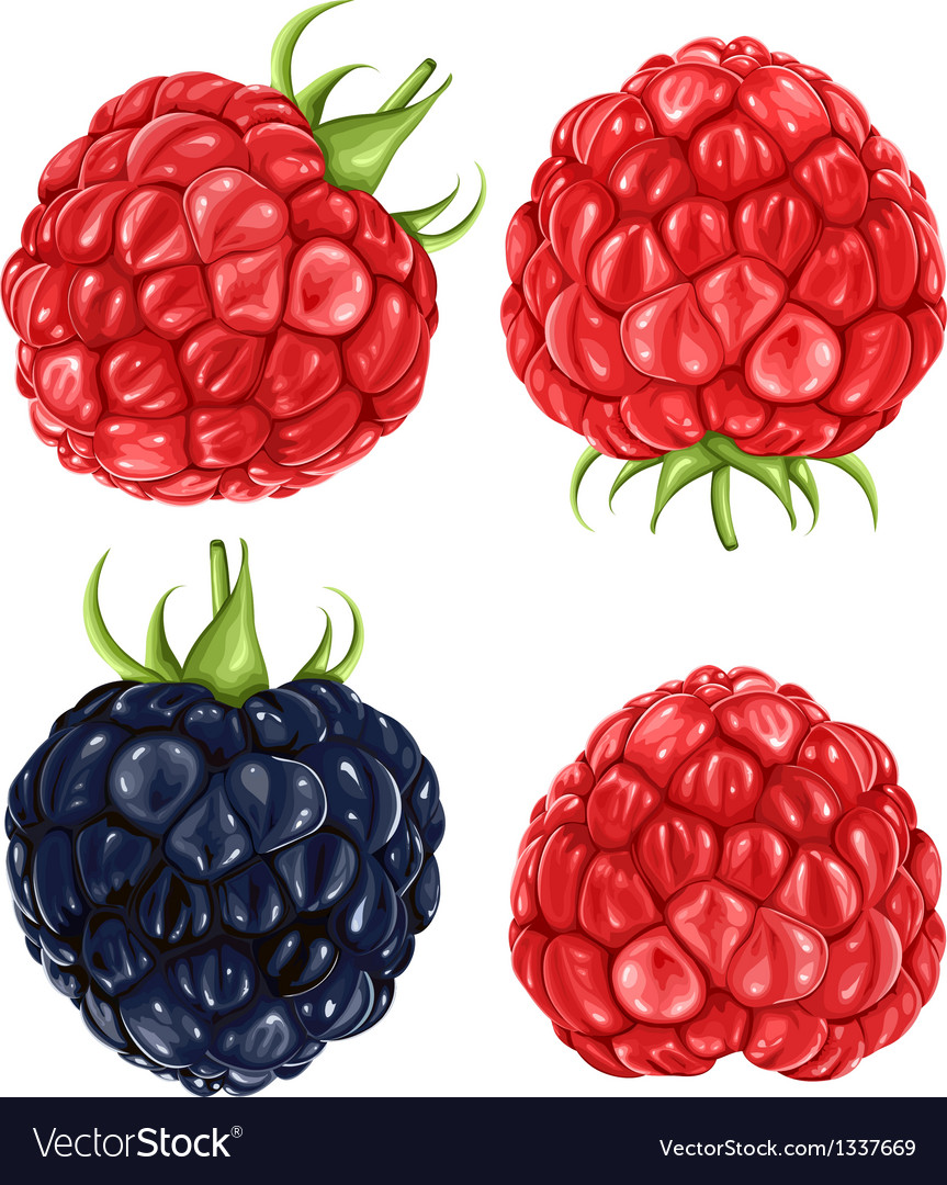 Raspberries blackberry