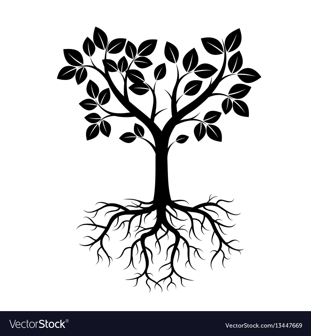 Shape black tree and roots Royalty Free Vector Image