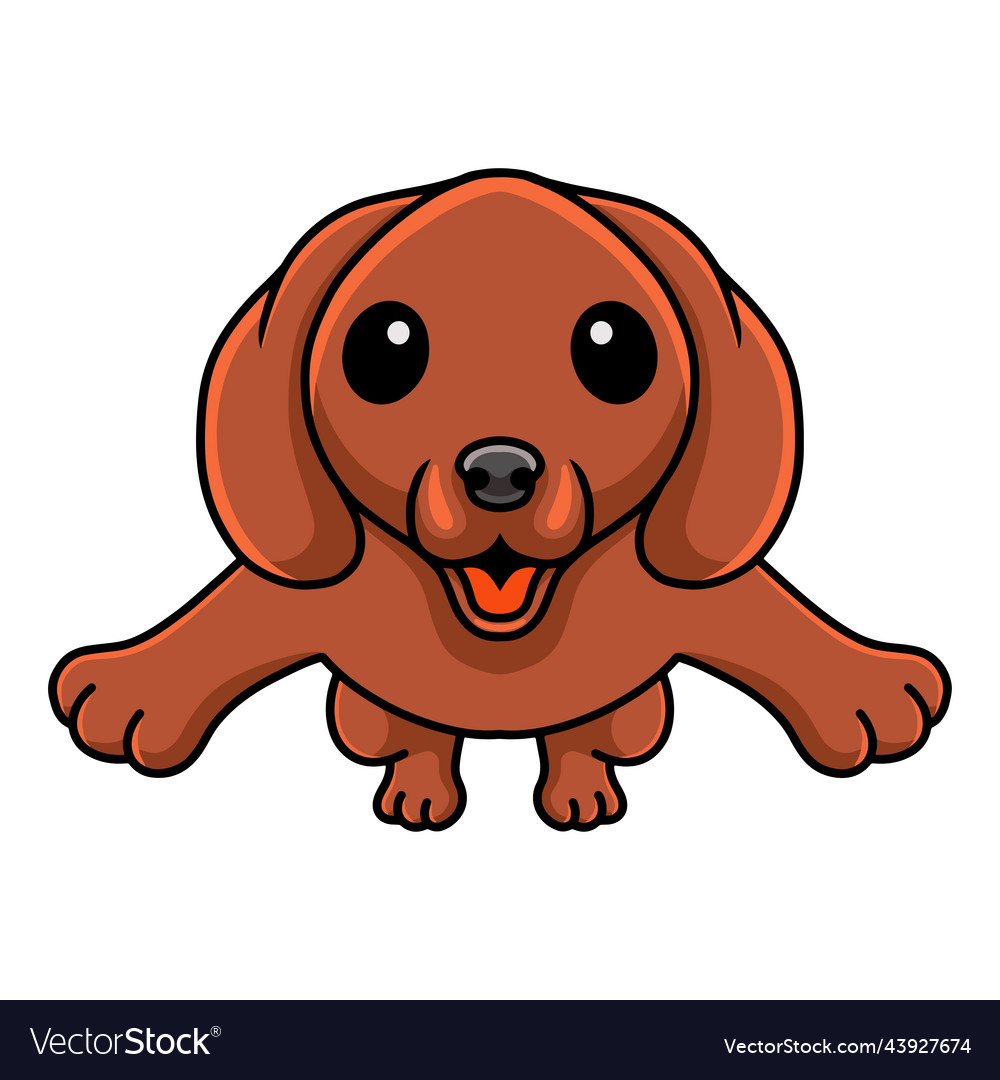 Cute dachshund dog cartoon jumping Royalty Free Vector Image