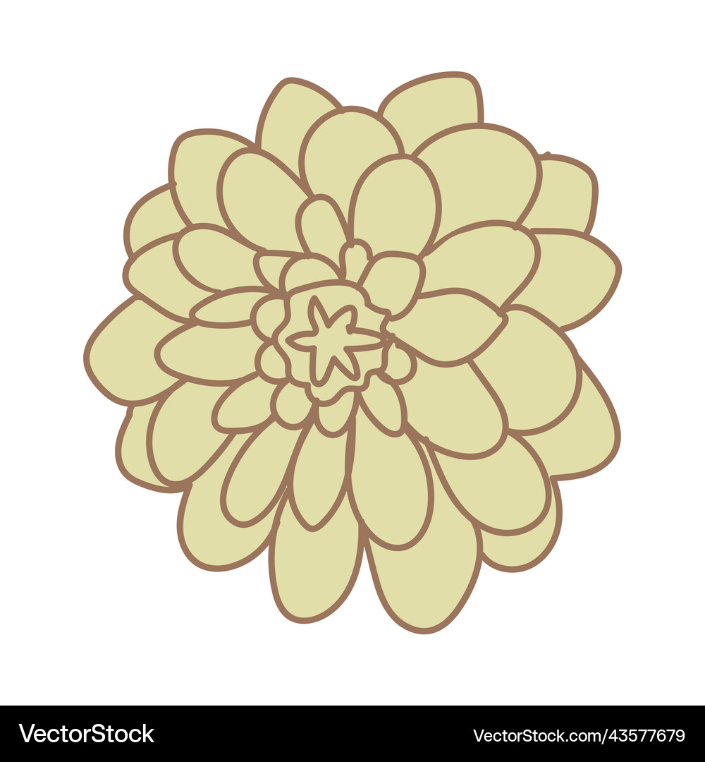 Flower elements design Royalty Free Vector Image