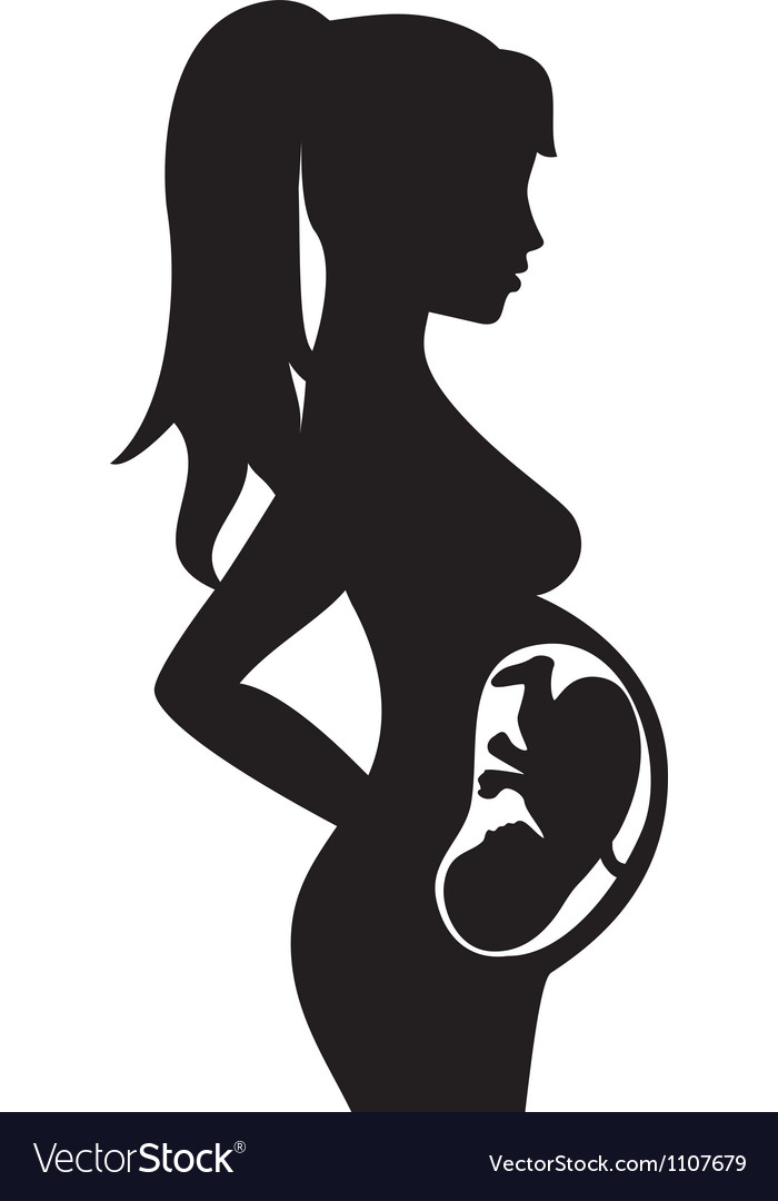 Pregnant woman with bainside Royalty Free Vector Image