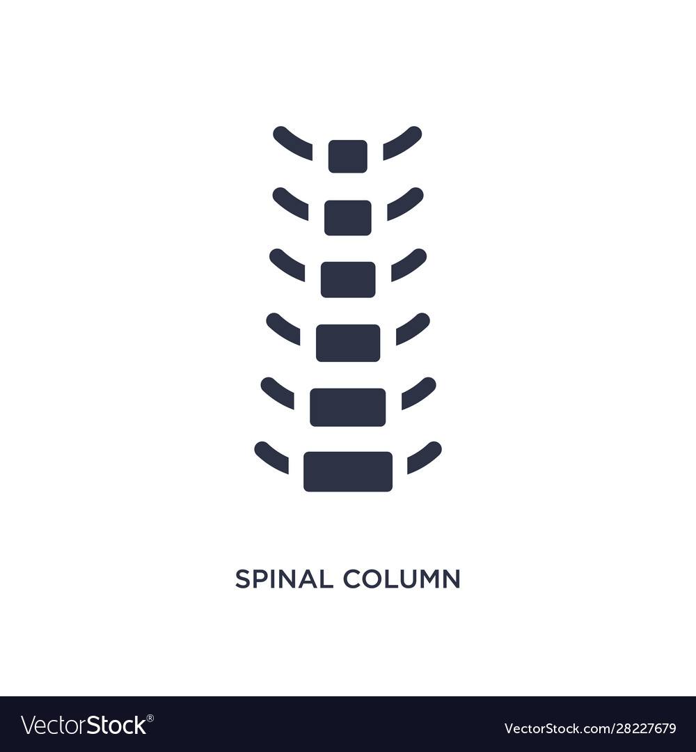 Spinal column icon on white background simple vector image Spinal column icon on white background simple