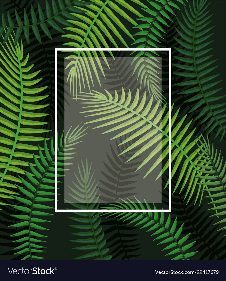 Square frame with branches leaves background