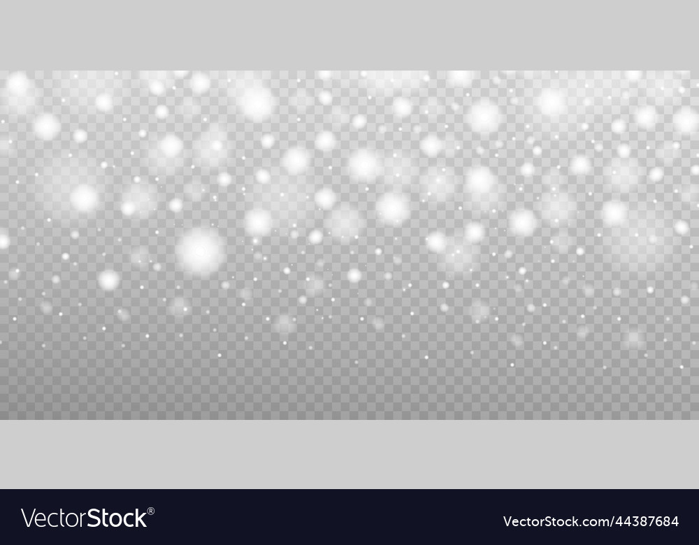 Shining bokeh isolated on transparent background vector image Shining bokeh isolated on transparent background