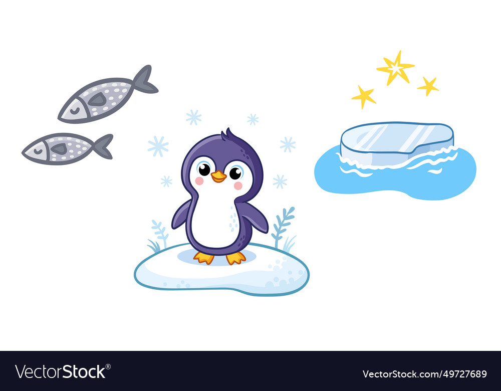 Set of cute penguin character ice floe fish Vector Image Biology Diagrams